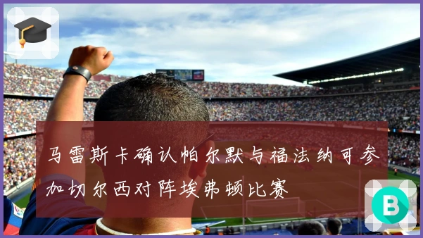 马雷斯卡确认帕尔默与福法纳可参加切尔西对阵埃弗顿比赛