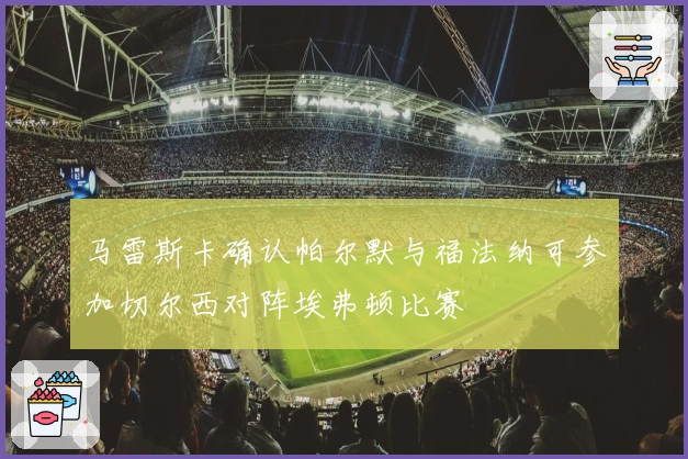 马雷斯卡确认帕尔默与福法纳可参加切尔西对阵埃弗顿比赛