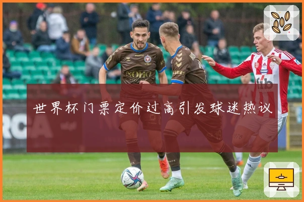 世界杯门票定价过高引发球迷热议